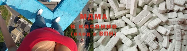 индика Богданович